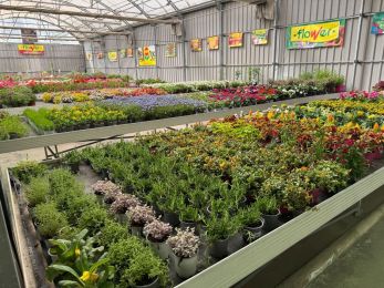 Instalaciones de Viveros Gómez