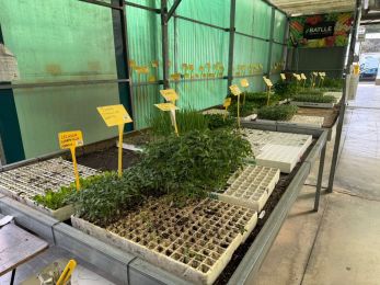 Viveros Gómez en Ronda