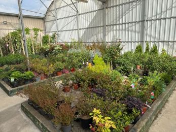 Instalaciones de Viveros Gómez