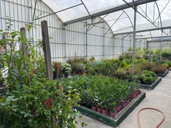 Viveros Gómez en Ronda