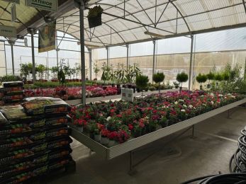 Viveros Gómez en Ronda