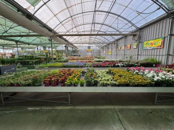 Viveros Gómez en Ronda