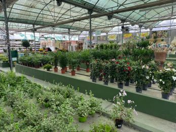 Viveros Gómez en Ronda