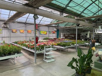 Viveros Gómez en Ronda