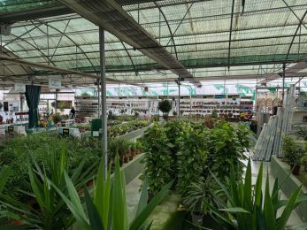 Instalaciones de Viveros Gómez