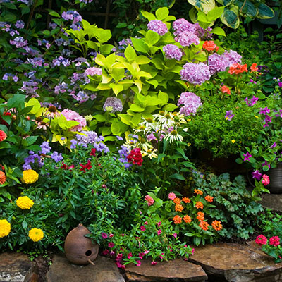 Plantas de exterior en Viveros Gómez