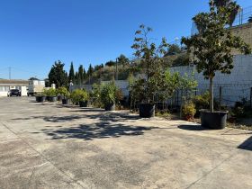 Viveros Gómez en Ronda